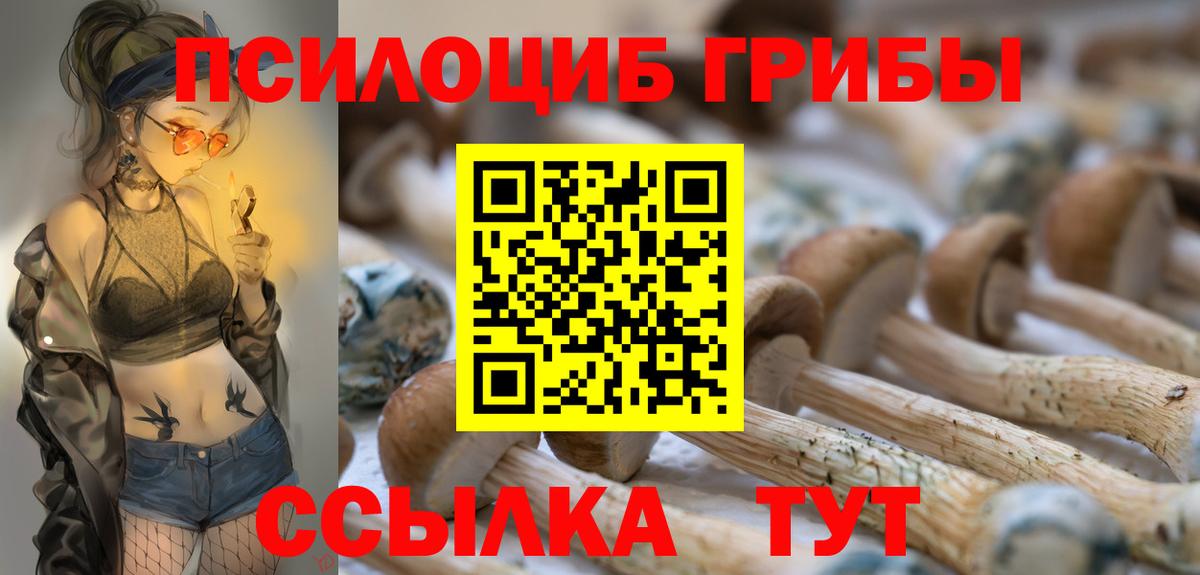 Псилоцибиновые грибы мухоморы Великий Устюг
