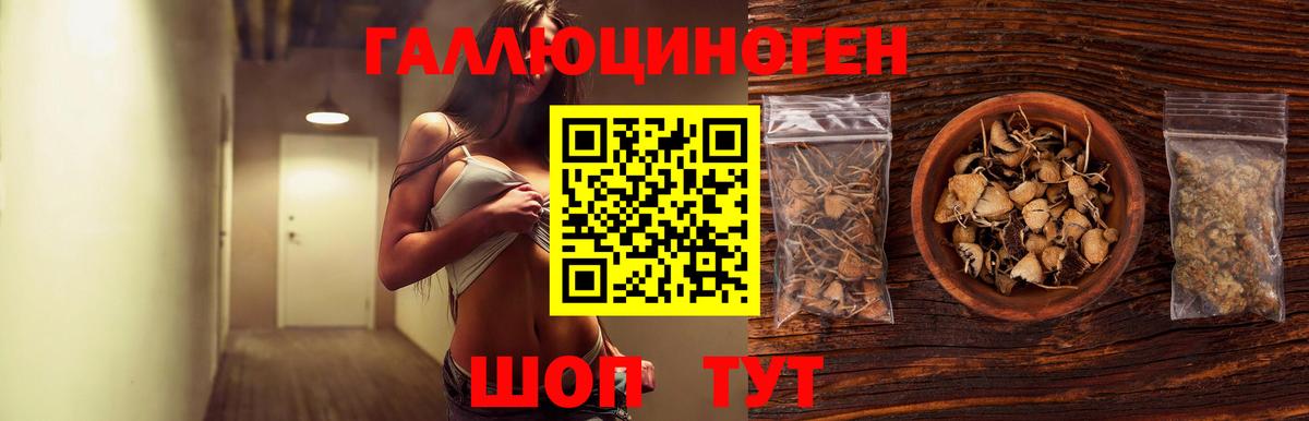 Великий Устюг  Псилоцибиновые грибы мицелий  даркнет сайт  Вход с VPN 